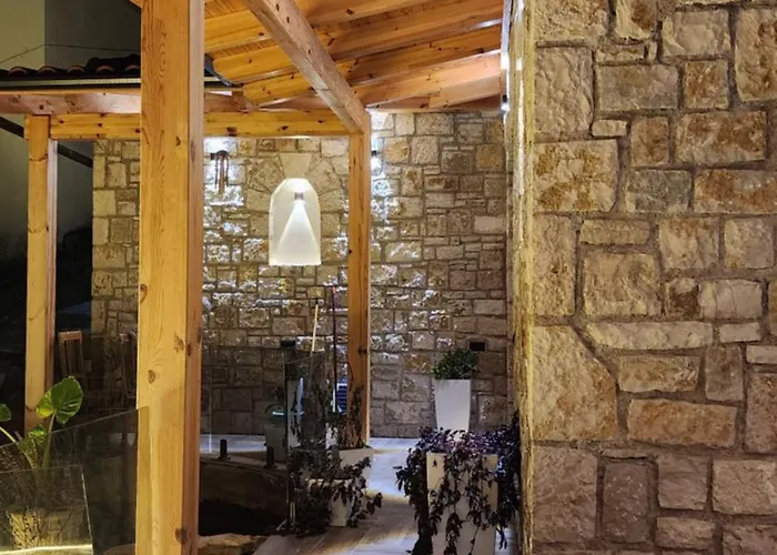 וילה 369 דרמי